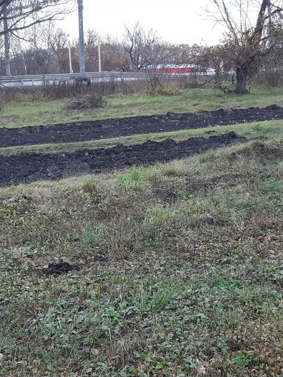 Участок 20 сот. (ИЖС)