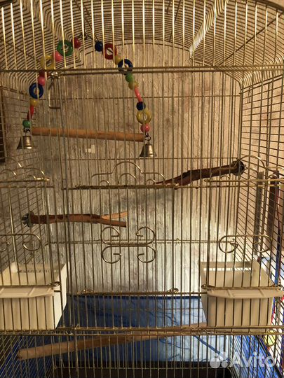 Клетка для попугая