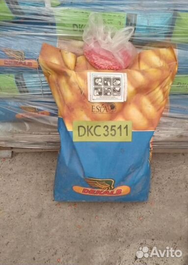 Семена подсолнечника и кукурузы. Оригинал