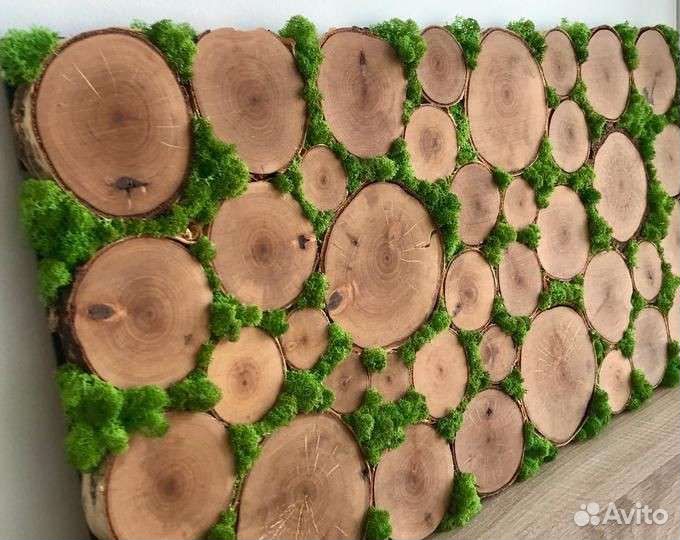 Картина из стабилизированного мха