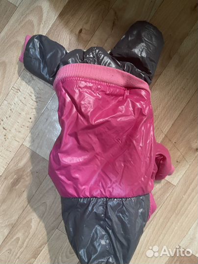 Курточка для собаки мелкой породы