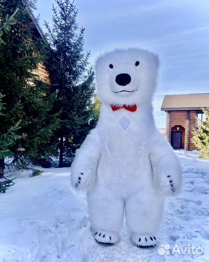 Поздравление белые медведи ростовые куклы