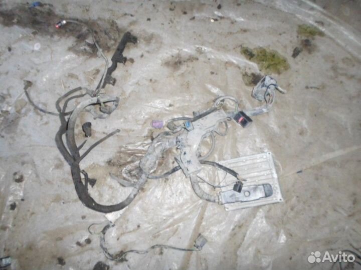 Блок управления двигателем (мозги ) Ford Fusion