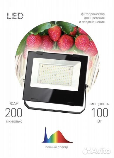 Фито прожектор для растений Эра fito-100W-RA90-LED