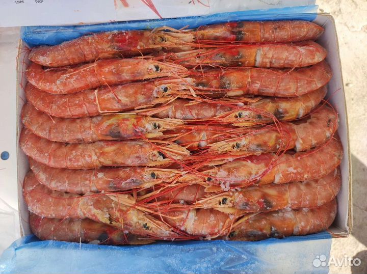 Рыба свежемороженая, креветки, стейки, филе