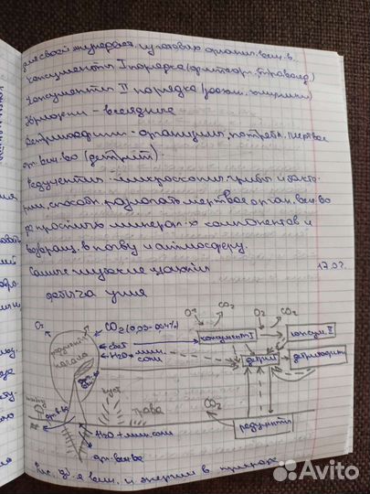 Пишу конспекты/лекции