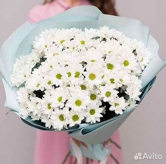 Хризантема Букет хризантем Доставка