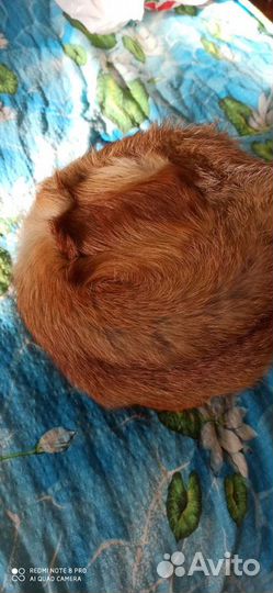 Шапка Женская из лисы