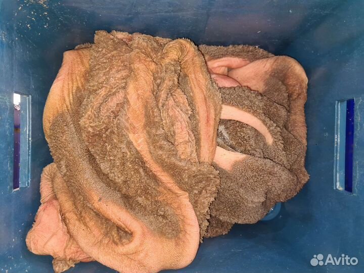 Рубец говяжий