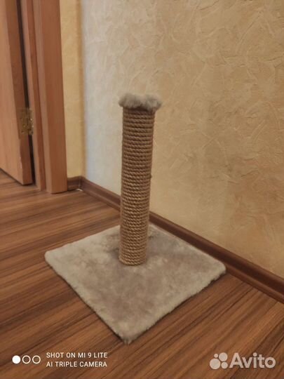 Когтеточка