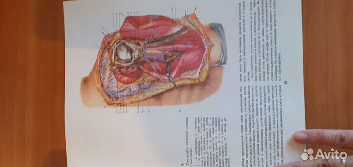 Оперативная хирургия и топограф.анатомия