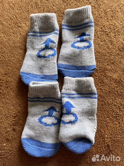 Носки для собак