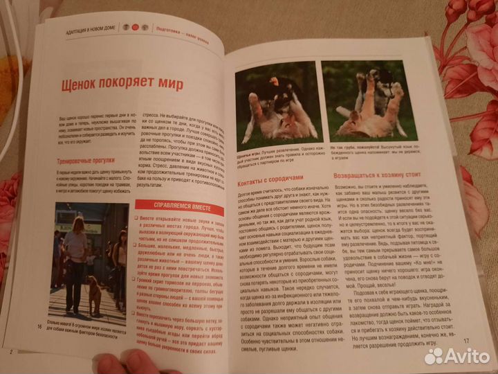 Книга обучение и воспитание щенков