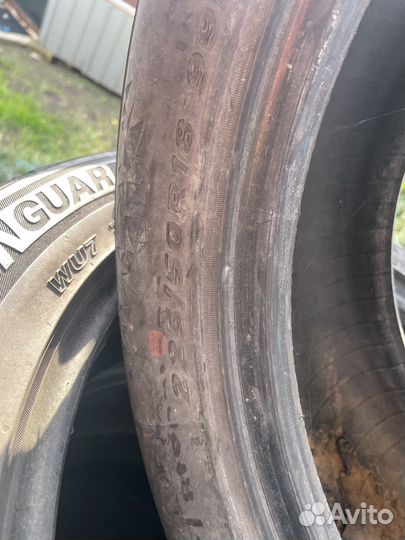 КАМА Kама-Euro LCV-131