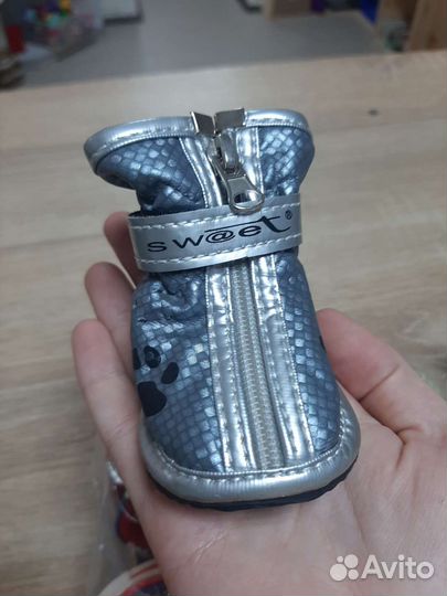 Ботинки для маленьких собак