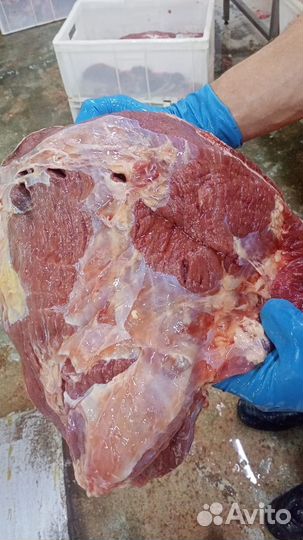 Мясо говядина мякоть без кости, полутуши молодняк