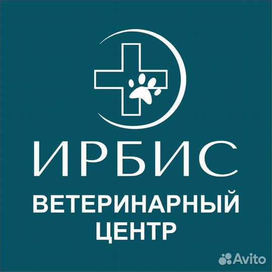 Ветеринарный врач