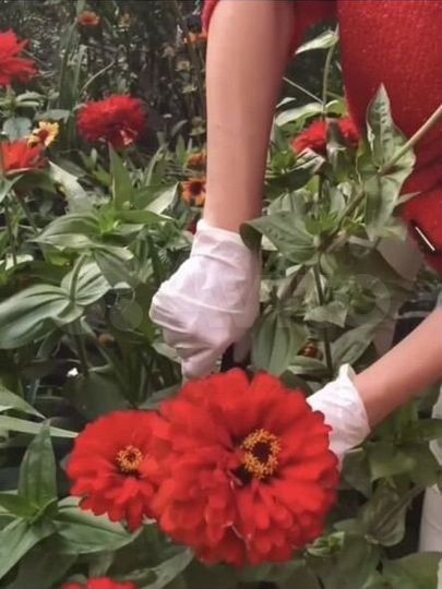 Дача 53 м² на участке 4,7 сот.