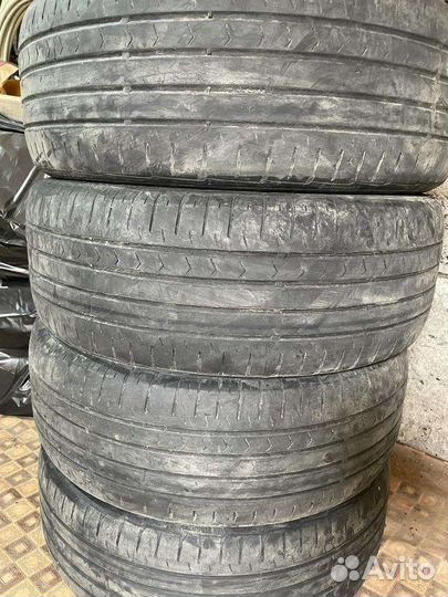 Accelera Gamma R4 22F