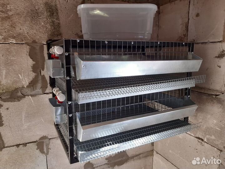 Клетка для перепелов на 50-60 голов