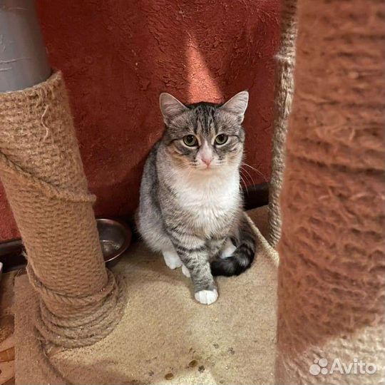 Стеша ждёт свою любящую семью