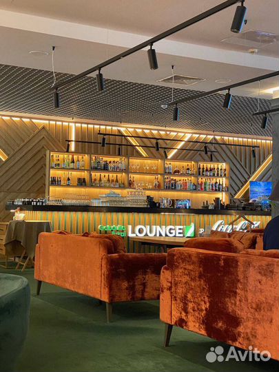 Проходка (купон ) в бизнес зал Казань