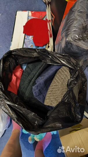 Женская одежда