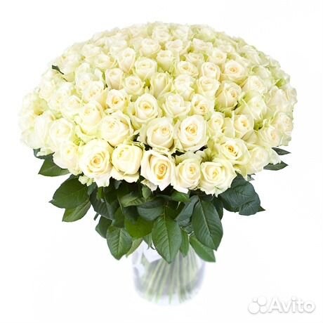 Элитная роза Эквадора