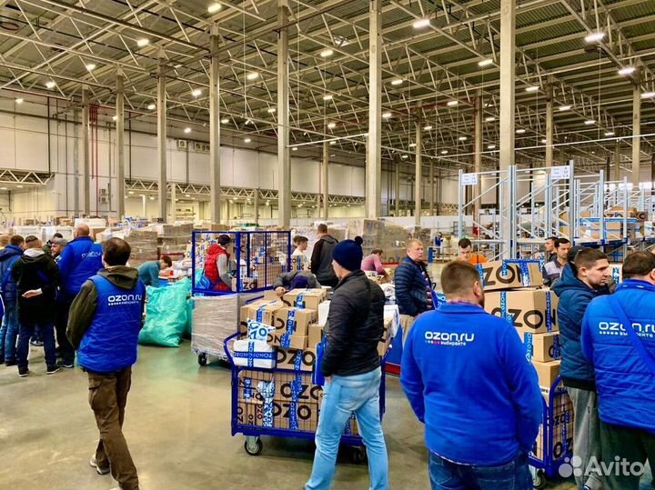 Оператор терминала