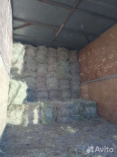 Сено луговое