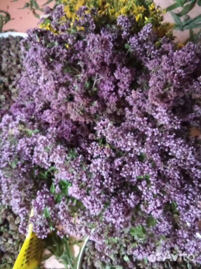 Душица, зверобой, тысячелистник