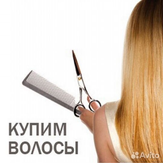 Скупка волос