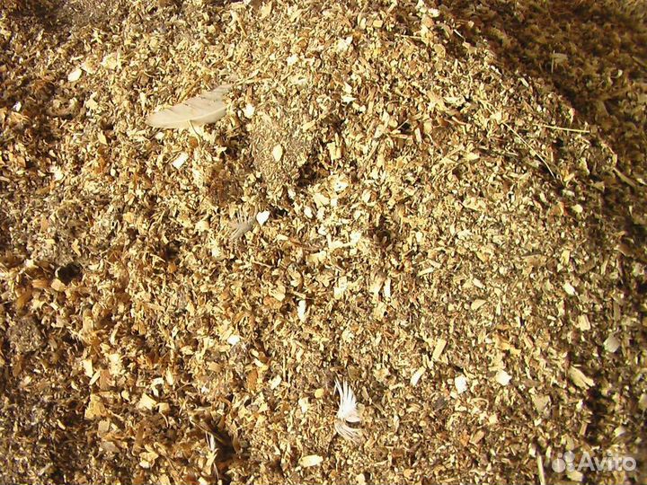 Перепелиный помет