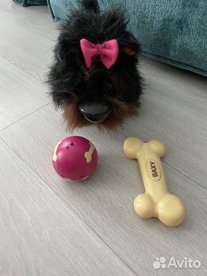 Интерактивная собака