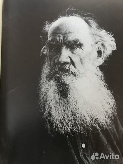 Ясная Поляна Борисов С. М