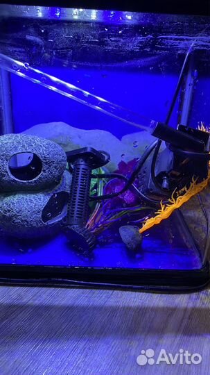 Аквариум для рыбок маленький