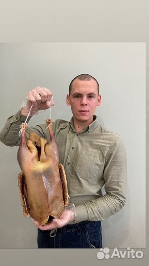 Вяленый гусь