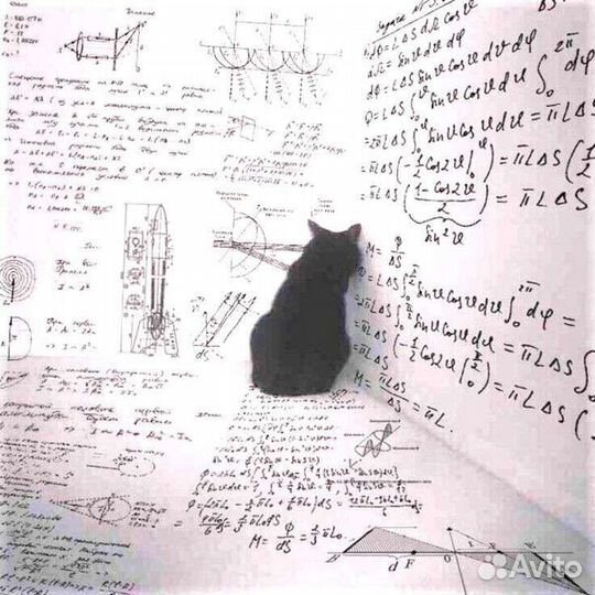 Репетитор по физике онлайн