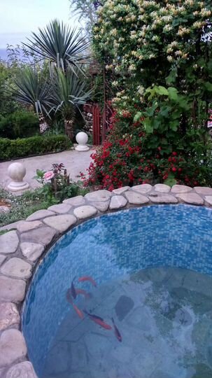 Комната 14 м², 1/1 эт.