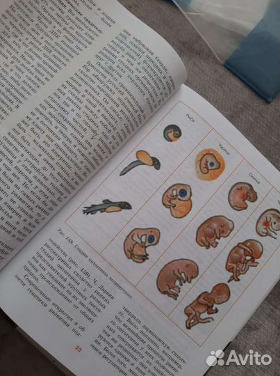 Биология углубленный курс