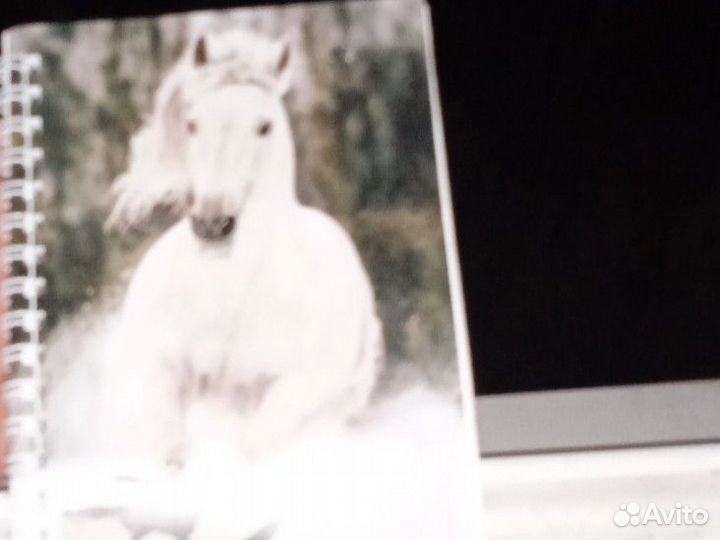 Блокнот школы 