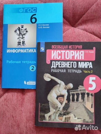 Рабочие тетради 5, 6 класс