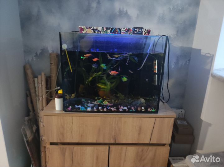 Аквариум с рыбками