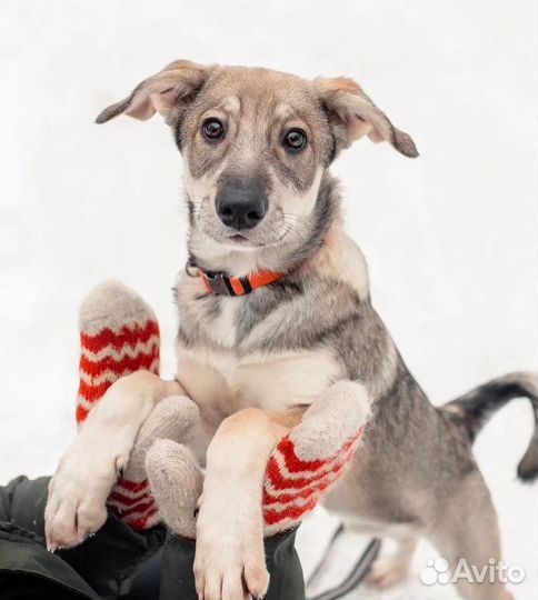 Эми, 4 месяца