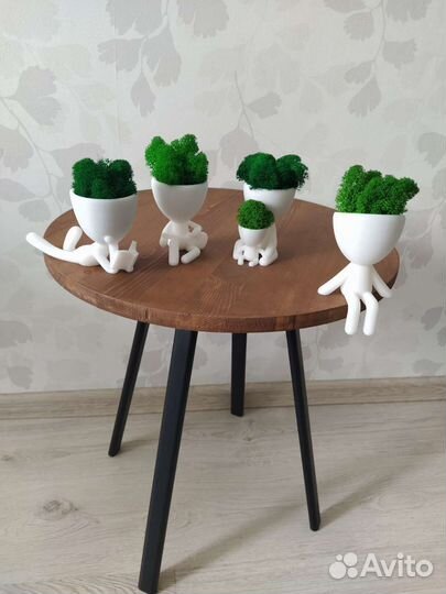 Мох в горшочках