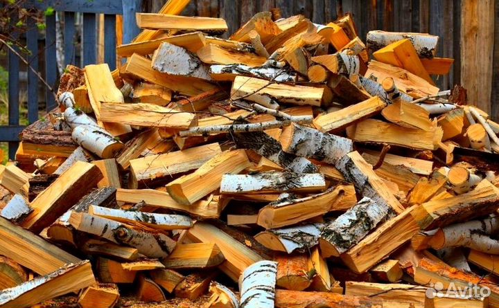 Береза на выбор