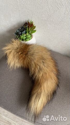 Лисий хвост