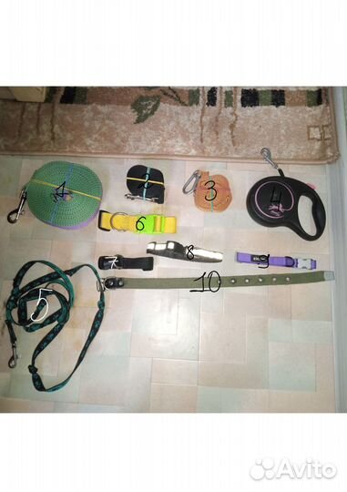 Вещи для животных