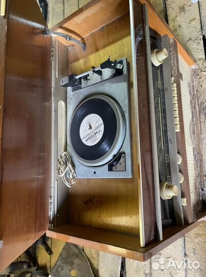 Радиолла Ригонда