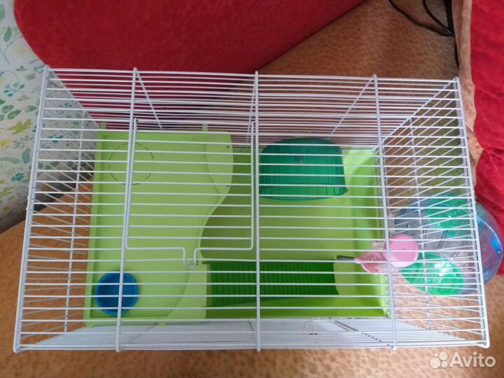Клетка для джунгарского хомяка